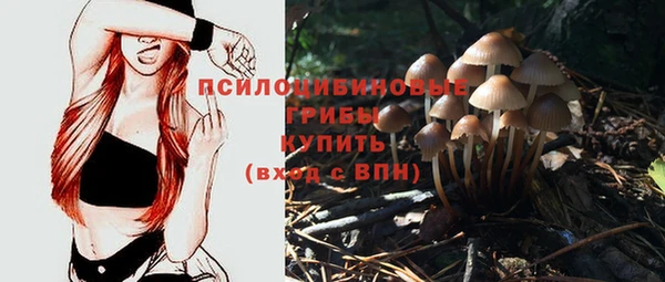 меф Краснотурьинск