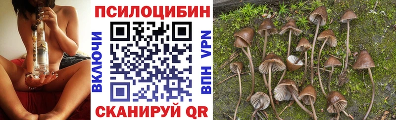 Галлюциногенные грибы прущие грибы  Купить закладки  Всеволожск 